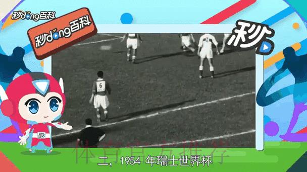 世界杯赛事比分实时动态追踪